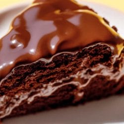 Chocolate Mayonnaise Cake: A Retro 1950s Dessert Revival 4 Chocolate Mayonnaise Cake: A Retro 1950s Dessert Revival - Chocolate Mayonnaise Cake midia