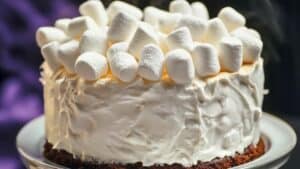 Decadent 1960s Chocolate Malt Cake with Marshmallow Frosting - Decadent Chocolate Malt Cake with Marshmallow Frosting midia