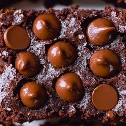 Easy Flourless Greek Yogurt Brownies Healthy Dessert Recipe 5 Easy Flourless Greek Yogurt Brownies Healthy Dessert Recipe - Flourless Greek Yogurt Brownies midia