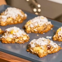 1920 Hedgehog Cookie Recipe: A Chewy, Coconut-Coated Treat 5 1920 Hedgehog Cookie Recipe: A Chewy, Coconut-Coated Treat - Hedgehog Cookies midia