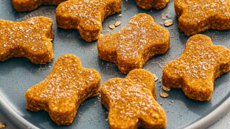 DIY No-Bake Dog Treats with Salmon & Sweet Potato 10 DIY No-Bake Dog Treats with Salmon & Sweet Potato - No Bake Dog Treats with Salmon Sweet Potato midia