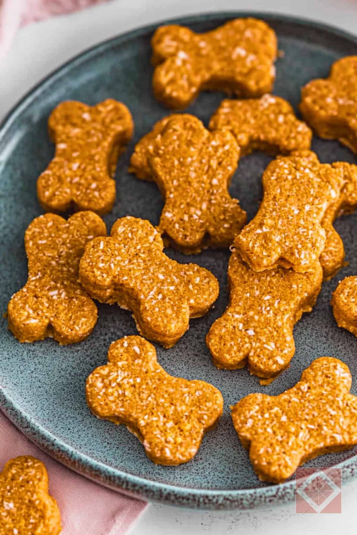 DIY No-Bake Dog Treats with Salmon & Sweet Potato 4 DIY No-Bake Dog Treats with Salmon & Sweet Potato - No Bake Dog Treats with Salmon Sweet Potato pin 1 midia