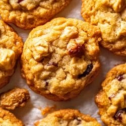 Hermit Cookies: The Forgotten Favorite from Old Recipe Books 6 Hermit Cookies: The Forgotten Favorite from Old Recipe Books - Old Fashioned Hermit Cookies midia