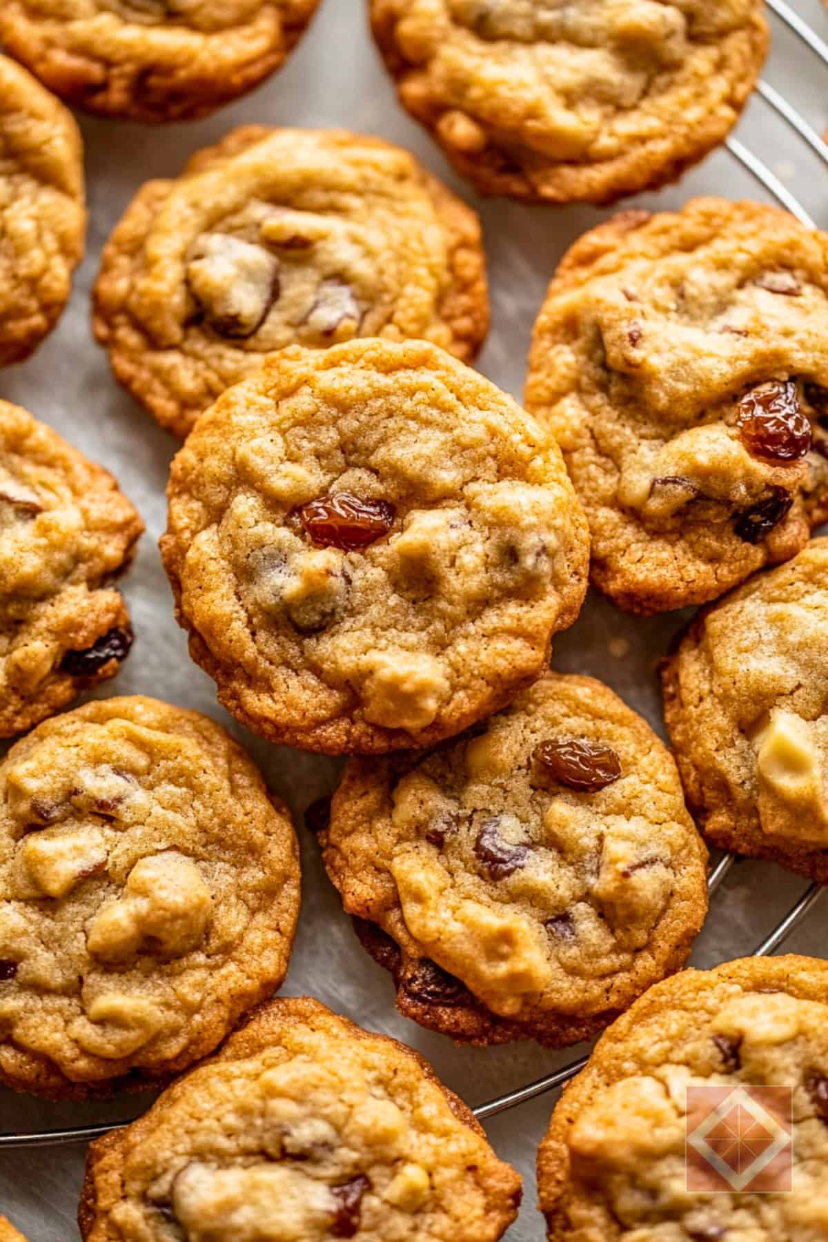 Hermit Cookies: The Forgotten Favorite from Old Recipe Books 5 Hermit Cookies: The Forgotten Favorite from Old Recipe Books - Old Fashioned Hermit Cookies pin 3 midia