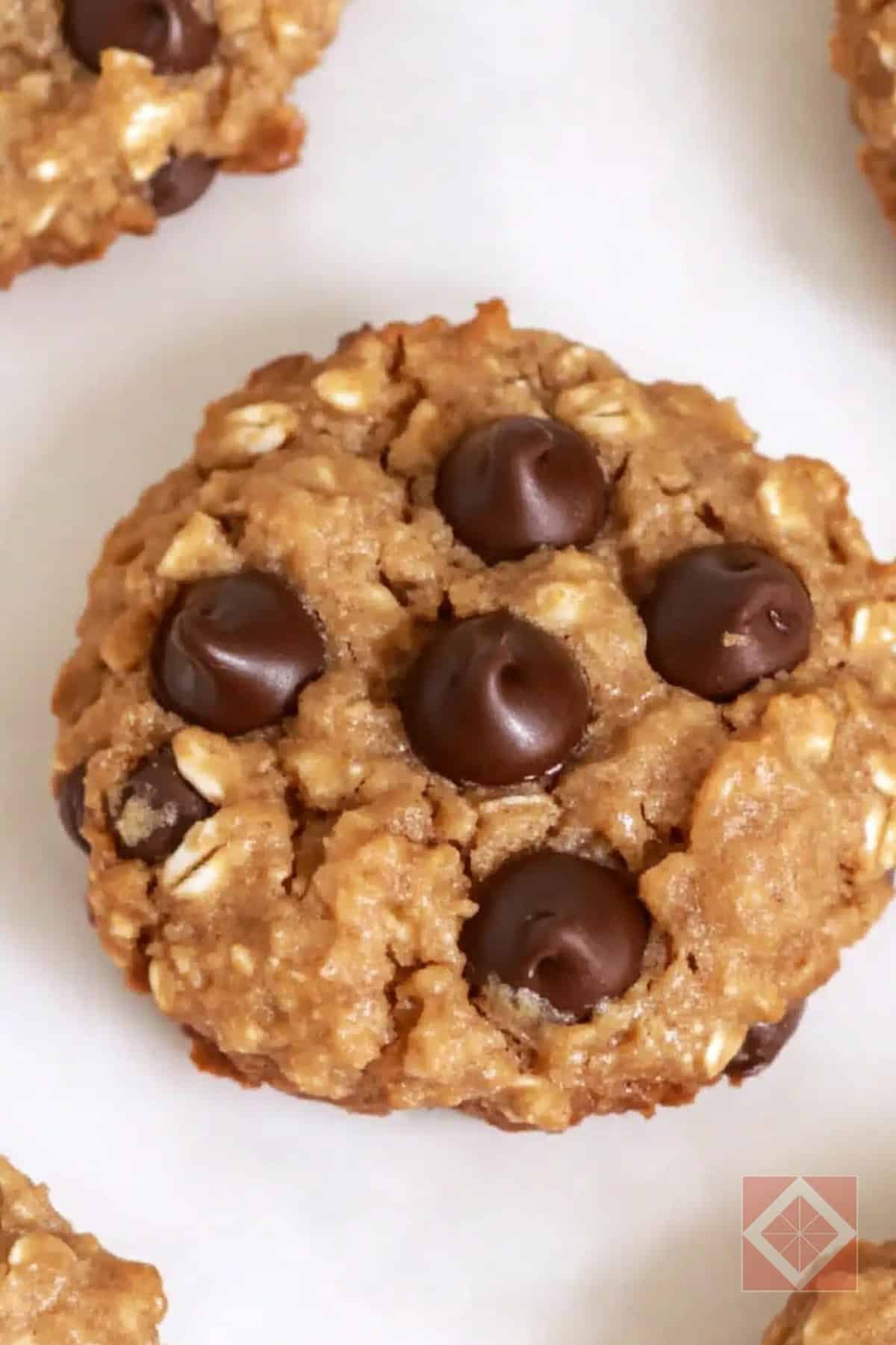 Healthy Peanut Butter Oatmeal Chocolate Chip Cookies (Soft & Chewy!) 3 Healthy Peanut Butter Oatmeal Chocolate Chip Cookies (Soft & Chewy!) - Peanut Butter Oatmeal Chocolate Chip Cookies pin 1 midia