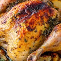 Whole Roasted Lemon Herb Chicken That’s Juicy, Crispy & Just Kinda Perfect 4 Whole Roasted Lemon Herb Chicken That’s Juicy, Crispy & Just Kinda Perfect - Roasted Lemon And Herb Whole Chicken midia