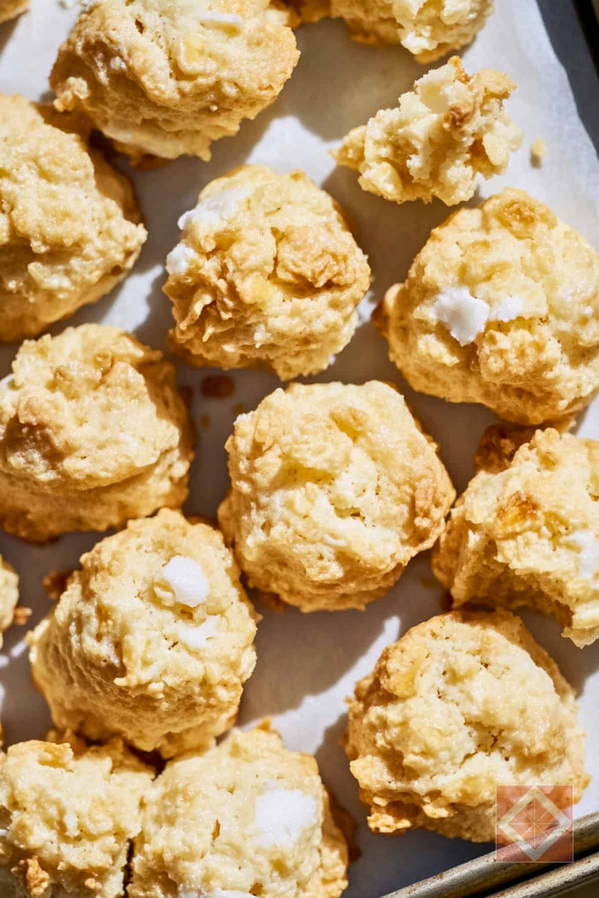Cornflake Macaroons: Crispy, Chewy, and Straight Outta the Past 3 Cornflake Macaroons: Crispy, Chewy, and Straight Outta the Past - Sweet Crunchy Cornflake Macaroons pin 1 midia