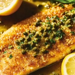 Easy Healthy Almond Trout Recipe with a Butter-Lemon Twist 6 Easy Healthy Almond Trout Recipe with a Butter-Lemon Twist - Almond Crusted Trout with Lemon Butter Caper Sauce midia