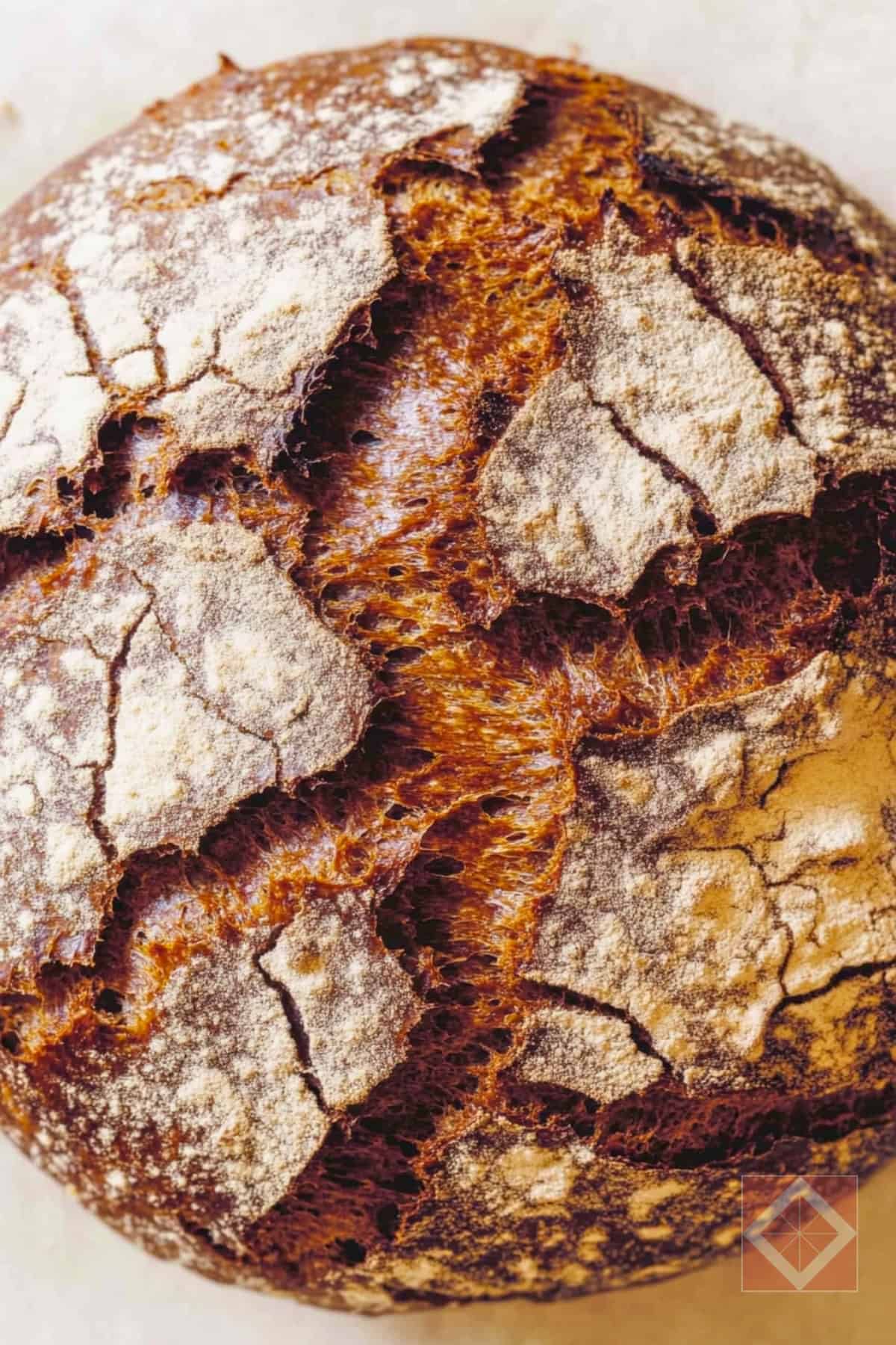 Tourte au Seigle: Homemade Rye Bread Recipe 2 Tourte au Seigle: Homemade Rye Bread Recipe - Rye Bread pin 1 midia