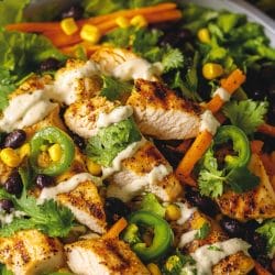 Santa Fe Salad Recipe That’s Fast, Healthy, & Filling 5 Santa Fe Salad Recipe That’s Fast, Healthy, & Filling - Santa Fe Grilled Chicken Salad midia