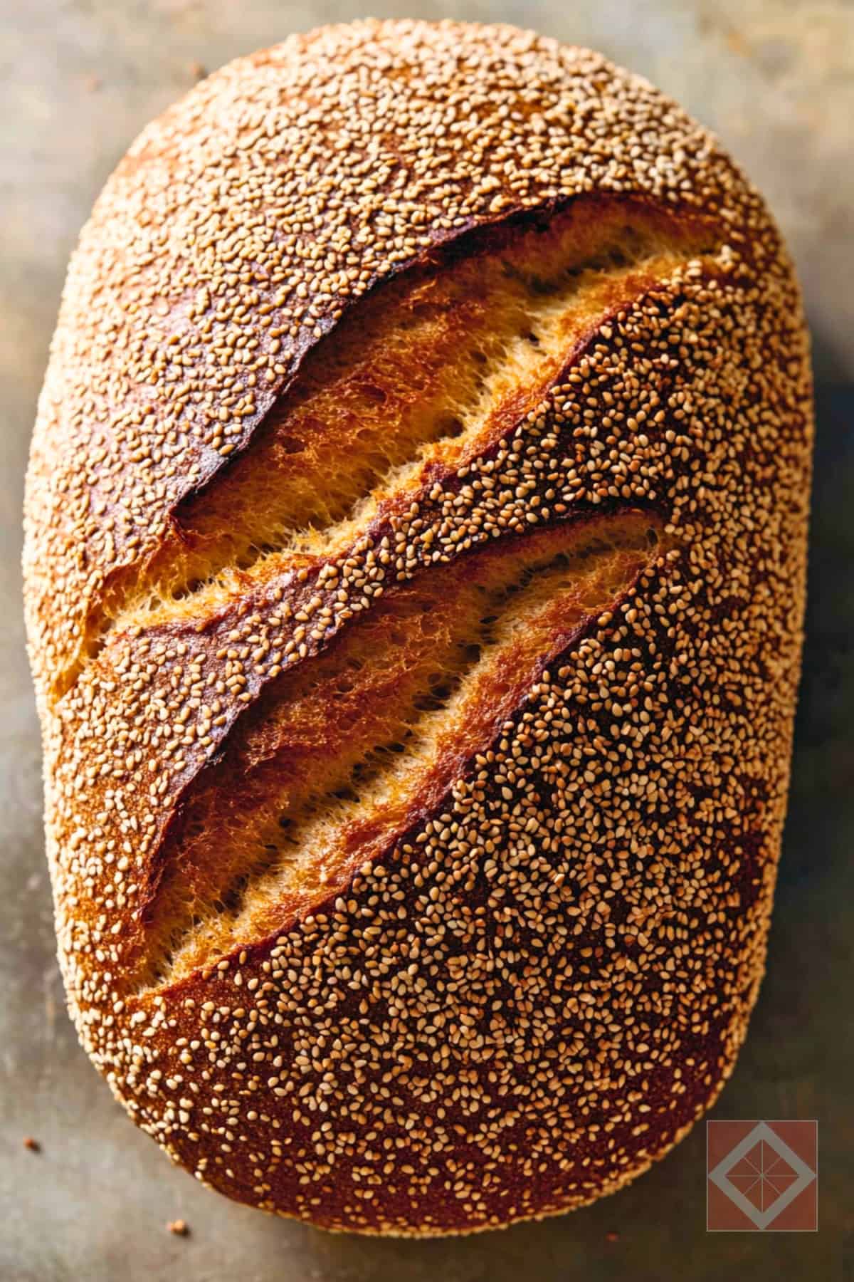 Sesame Wheat: A Nutty Loaf With Bakery-Style Crust 3 Sesame Wheat: A Nutty Loaf With Bakery-Style Crust - Sesame Wheat Bread pin 2 midia