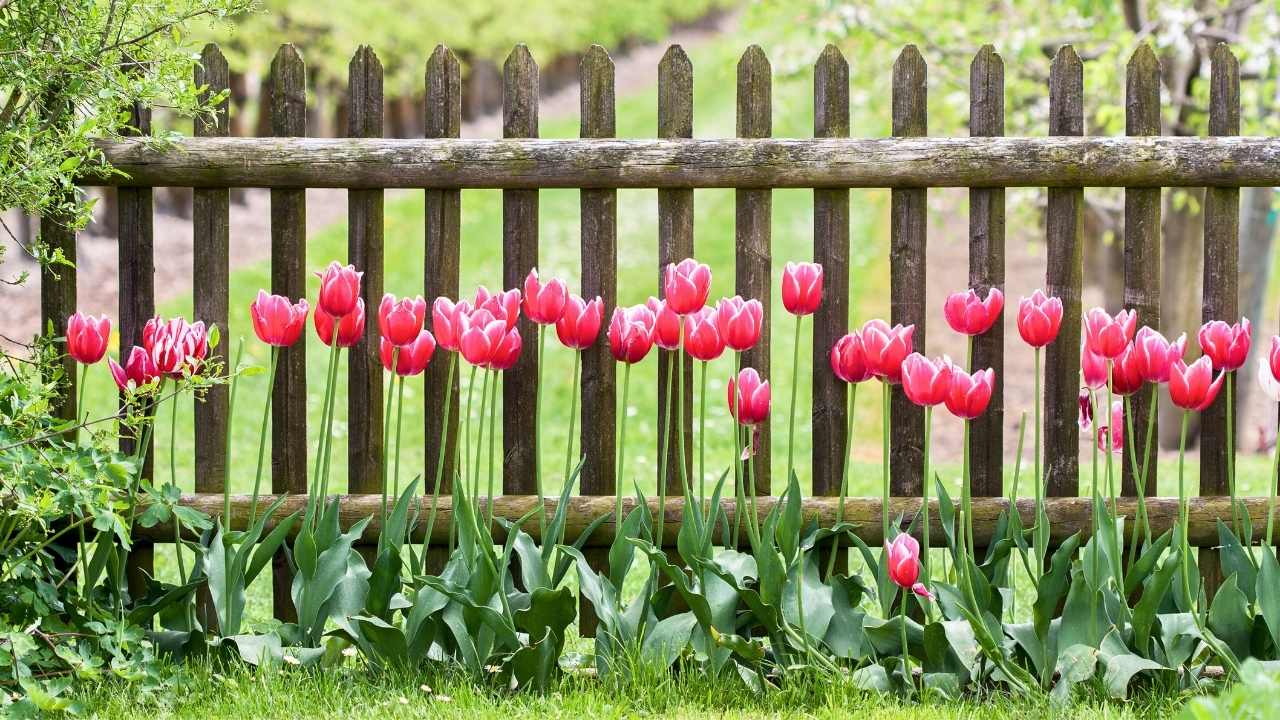 43 Beautiful Flower Bed Ideas to Try in Front of Your House 24 43 Beautiful Flower Bed Ideas to Try in Front of Your House - front yard flower bed idea ss dnoh 4 23 25 24