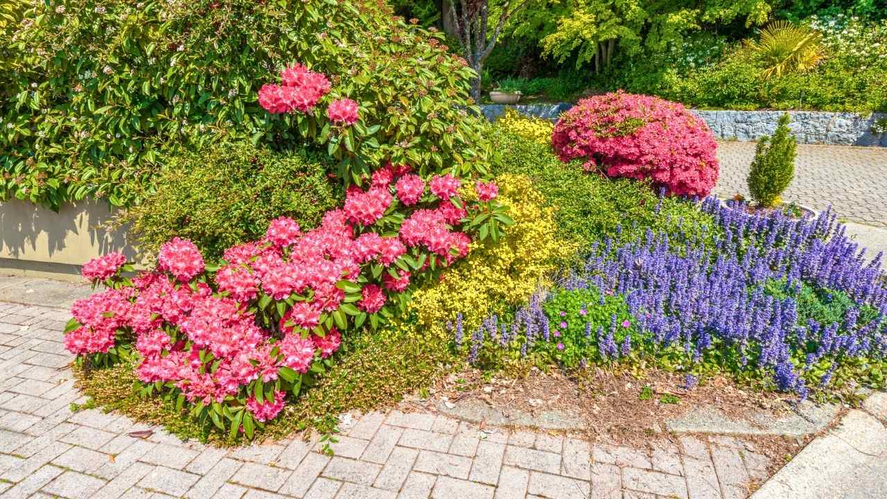 43 Beautiful Flower Bed Ideas to Try in Front of Your House 30 43 Beautiful Flower Bed Ideas to Try in Front of Your House - front yard flower bed idea ss dnoh 4 23 25 30