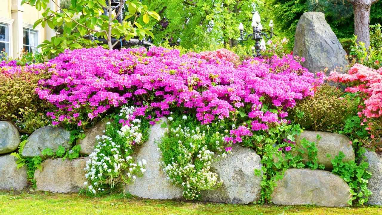 43 Beautiful Flower Bed Ideas to Try in Front of Your House 43 43 Beautiful Flower Bed Ideas to Try in Front of Your House - front yard flower bed idea ss dnoh 4 23 25 40