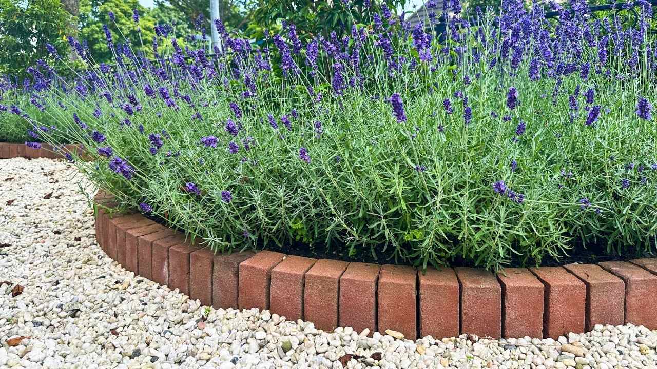 43 Beautiful Flower Bed Ideas to Try in Front of Your House 7 43 Beautiful Flower Bed Ideas to Try in Front of Your House - front yard flower bed idea ss dnoh 4 23 25 7