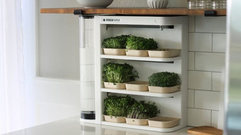 If You Can Press a Button, You Can Grow Microgreens with Instafarm—Here’s My Review - instafarm microgreens