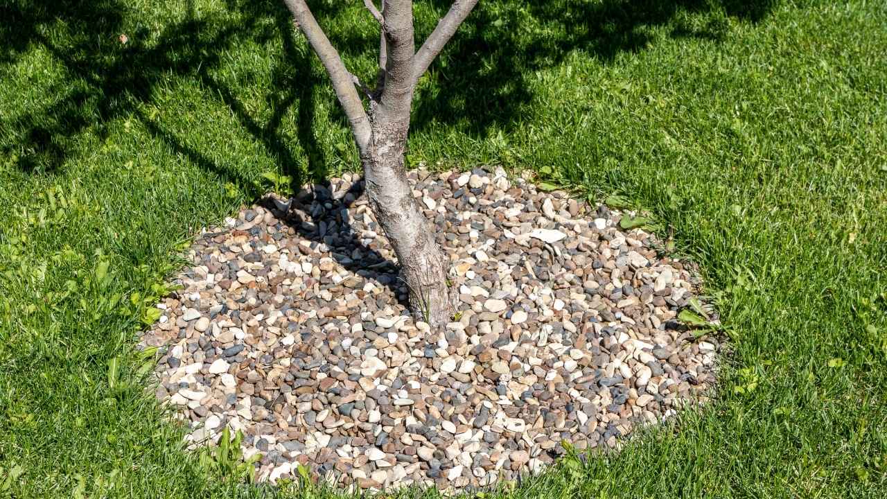 17 River Rock Landscaping Ideas That Turn Simple Yards Into Showpieces 18 17 River Rock Landscaping Ideas That Turn Simple Yards Into Showpieces - river rock landscaping ideas ss1601577136 dnoh