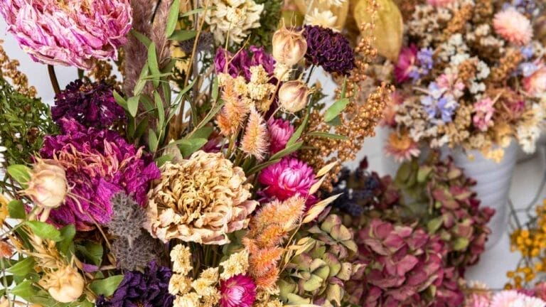 how to dry flowers the right way: save your bouquet, your garden, your memories 5 how to dry flowers the right way: save your bouquet, your garden, your memories - Dried flowers ss2424145143 dnoh