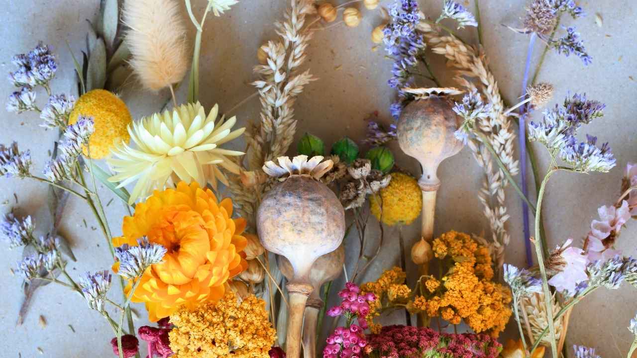 how to dry flowers the right way: save your bouquet, your garden, your memories 5 how to dry flowers the right way: save your bouquet, your garden, your memories - Dried flowers ss2584892481 dnoh
