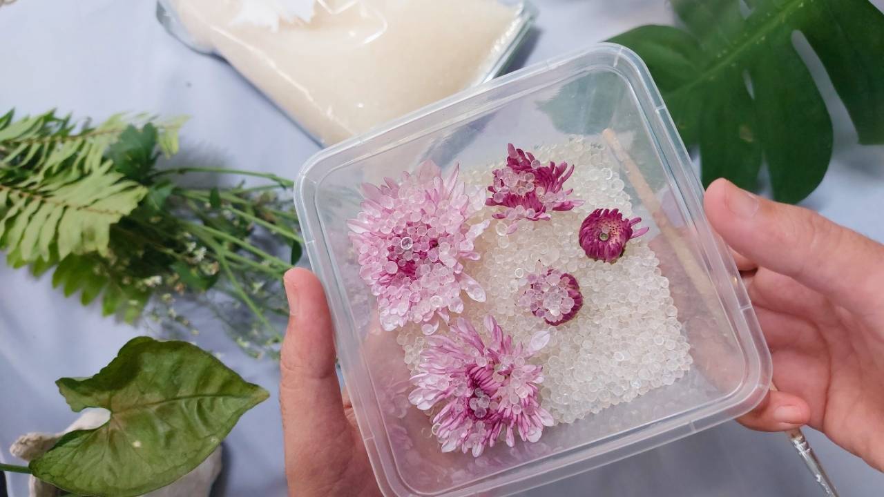 how to dry flowers the right way: save your bouquet, your garden, your memories 3 how to dry flowers the right way: save your bouquet, your garden, your memories - Dried flowers ss2654880603 dnoh