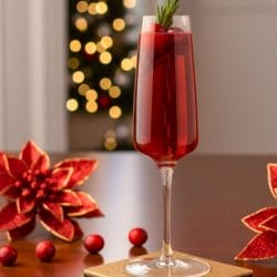 Poinsettia Champagne Cocktail: A Festive & Refreshing Holiday Drink 4 Poinsettia Champagne Cocktail: A Festive & Refreshing Holiday Drink - Poinsettia cocktail