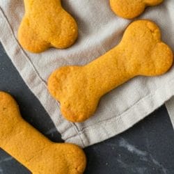 easy pumpkin peanut butter dog treats: healthy, crunchy, and xylitol-free 4 easy pumpkin peanut butter dog treats: healthy, crunchy, and xylitol-free - Pumpkin Peanut Butter dog Biscuits 2