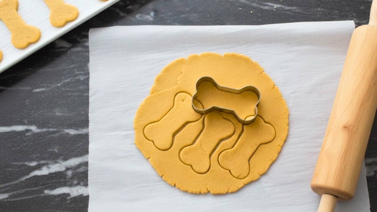 easy pumpkin peanut butter dog treats: healthy, crunchy, and xylitol-free 3 easy pumpkin peanut butter dog treats: healthy, crunchy, and xylitol-free - Pumpkin Peanut Butter dog Biscuits 3