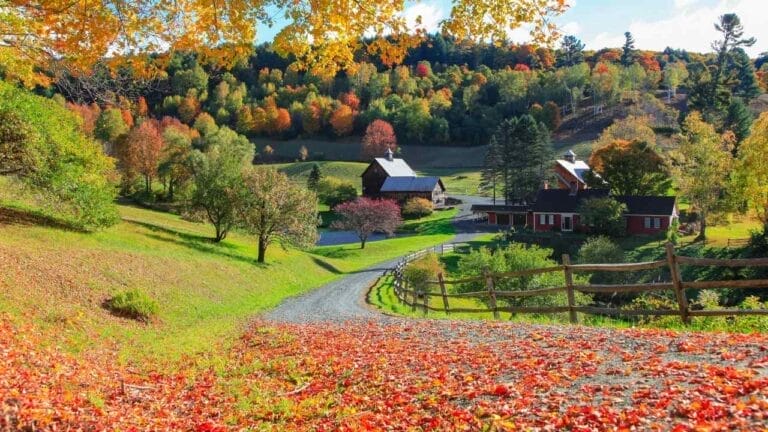 18 things you must master to succeed before you ever homestead 6 18 things you must master to succeed before you ever homestead - homestead ss 2041464347 dnoh