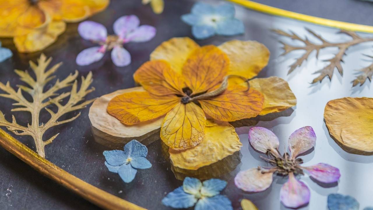 how to dry flowers the right way: save your bouquet, your garden, your memories 4 how to dry flowers the right way: save your bouquet, your garden, your memories - pressed flowers ss2326550237 dnoh