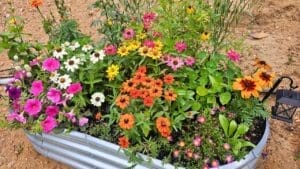 chaos gardening proves the best gardens are the ones you barely manage 1 chaos gardening proves the best gardens are the ones you barely manage - chaos gardening flowers ss2684598889dnoh