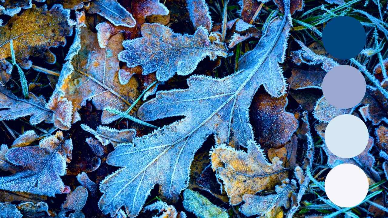 winter blues worth obsessing over: the icy color palette that actually earns its keep 2 winter blues worth obsessing over: the icy color palette that actually earns its keep - ice breaker color palette 3