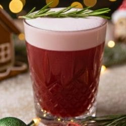 the perfect pomegranate gin fizz & why the foam changes everything 3 the perfect pomegranate gin fizz & why the foam changes everything - pomegranate gin fizz Cocktail