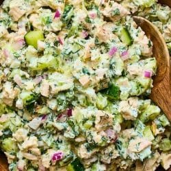 Tzatziki Chicken Salad (No Mayo, High Protein, Actually Stays Creamy) 4 Tzatziki Chicken Salad (No Mayo, High Protein, Actually Stays Creamy) - Tzatziki Chicken Salad 3