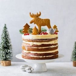 The Woodland Gingerbread Cake That Looks Like a Fairy Tale 3 The Woodland Gingerbread Cake That Looks Like a Fairy Tale - Woodland Gingerbread Christmas Cake s2555635905dnoh scaled