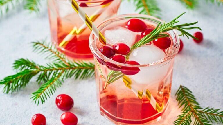 20 Fun & Tasty Christmas Mocktails to Try 9 20 Fun & Tasty Christmas Mocktails to Try - christmas mocktail s2230227819dnoh