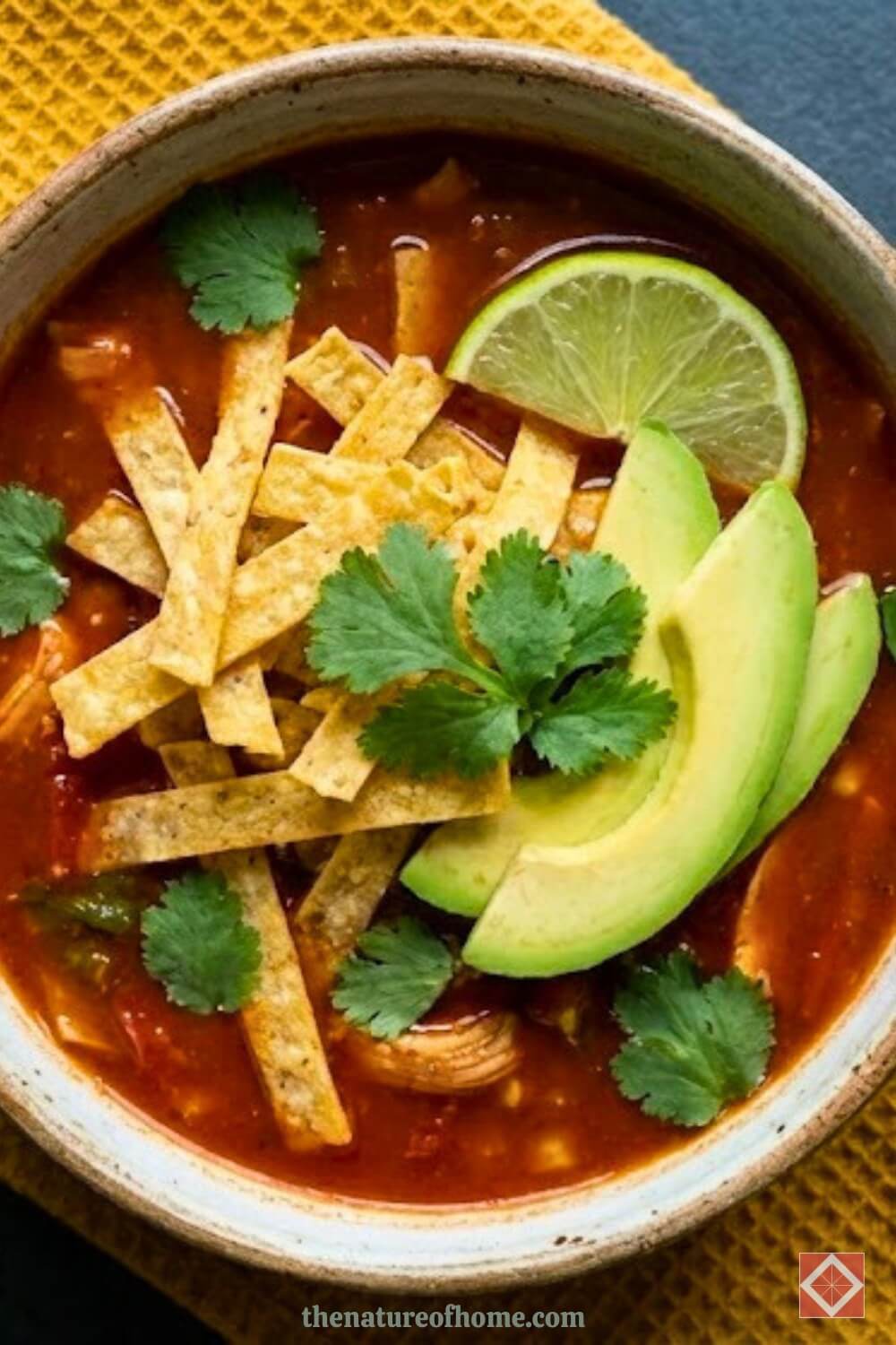 Six Can Chicken Tortilla Soup: Dump and Go 2 Six Can Chicken Tortilla Soup: Dump and Go - 6 Can Slow Cooker Chicken Tortilla Soup 2