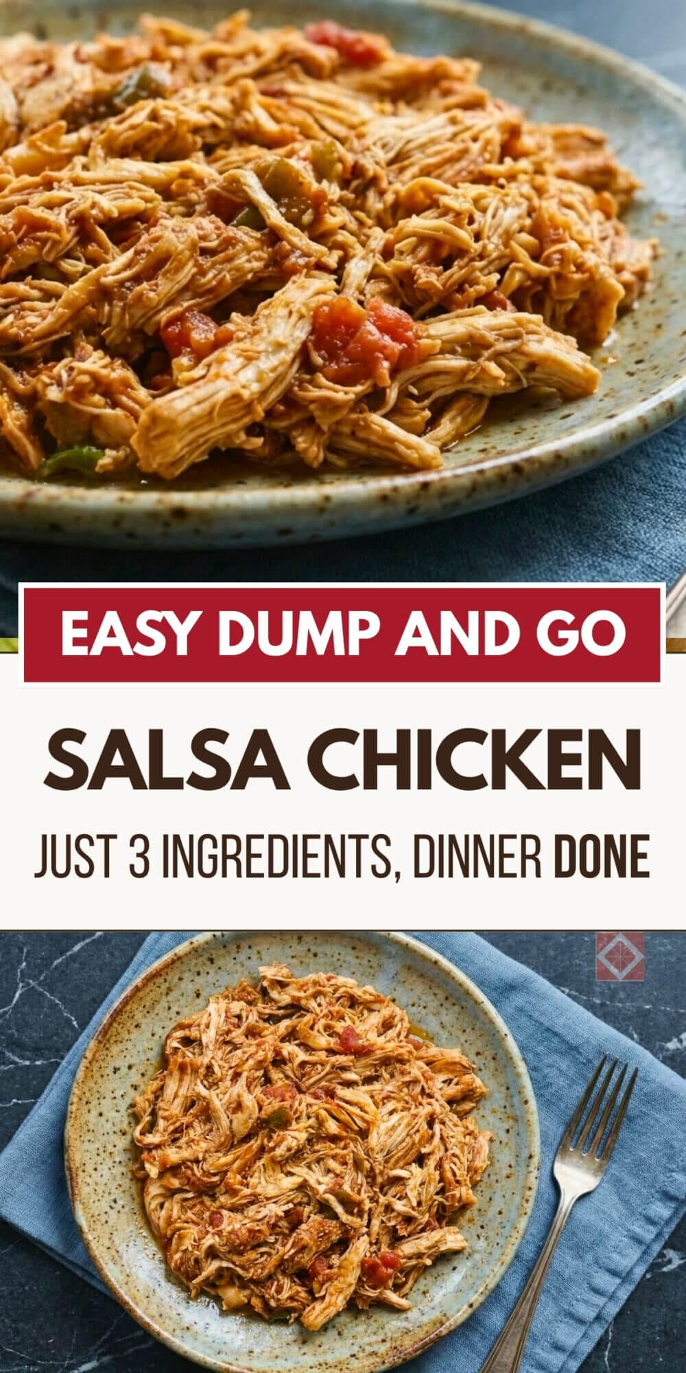 10 Dump and Go Dinners That Cook Themselves While You're Gone 4 10 Dump and Go Dinners That Cook Themselves While You're Gone - Dump and Go Salsa Chicken 7