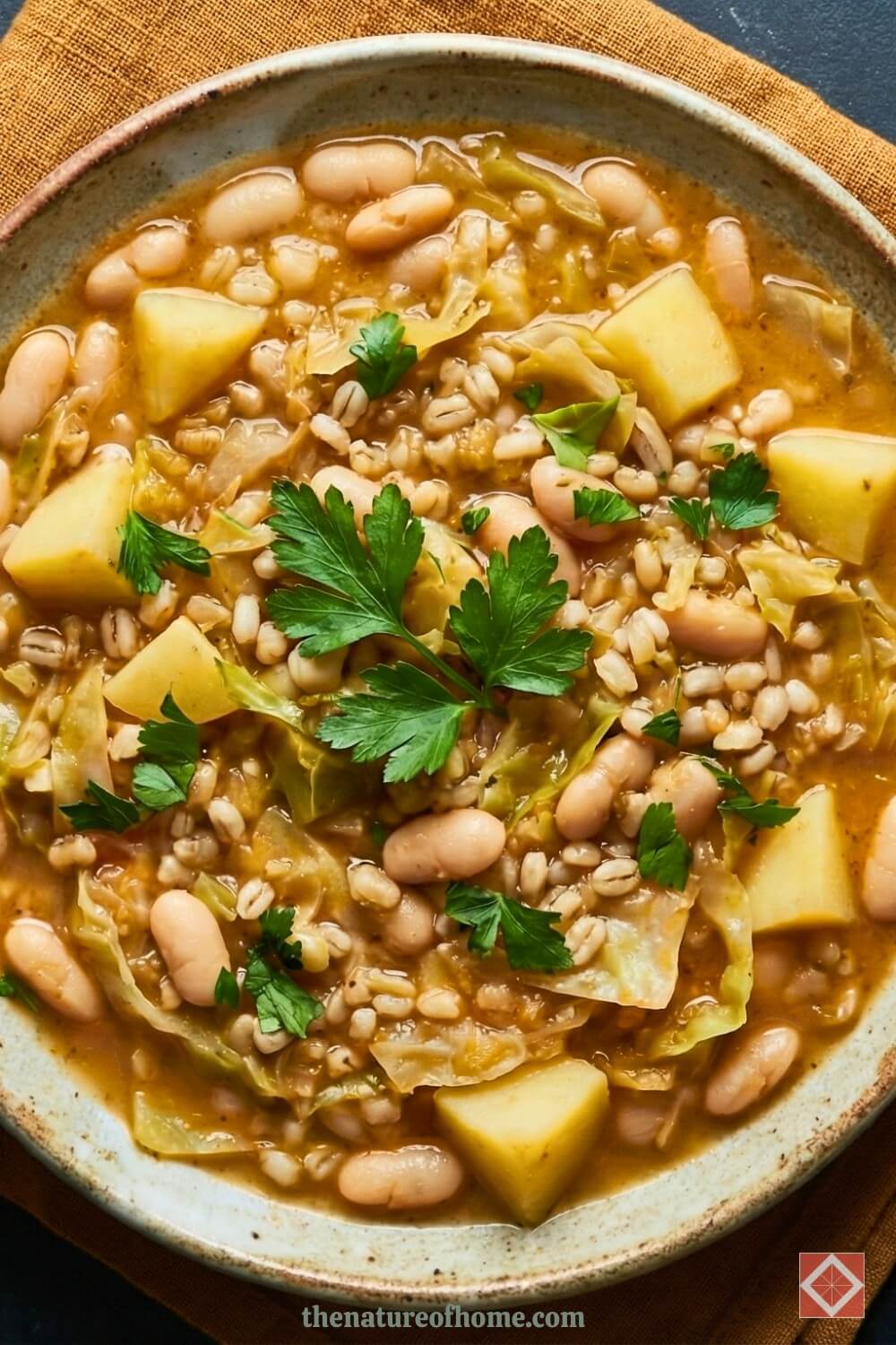 Irish White Bean Stew, Dump and Go 2 Irish White Bean Stew, Dump and Go - Slow Cooker Irish White Bean Cabbage Stew dump and go 6