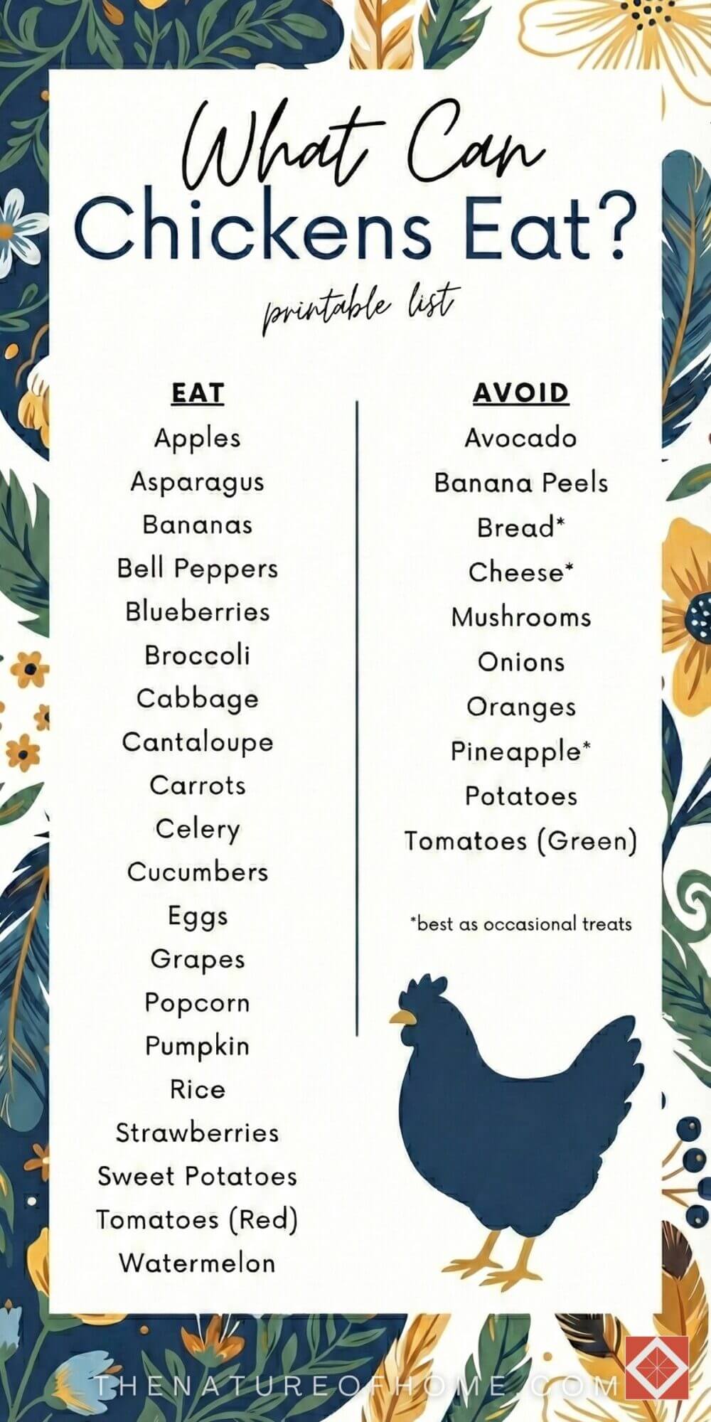What I Wish Someone Told Me About Raising Chickens for Beginners 9 What I Wish Someone Told Me About Raising Chickens for Beginners - chickens for beginners 3