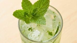 Cucumber Mint Cooler 1 Cucumber Mint Cooler - Cucumber Mint Cooler 2