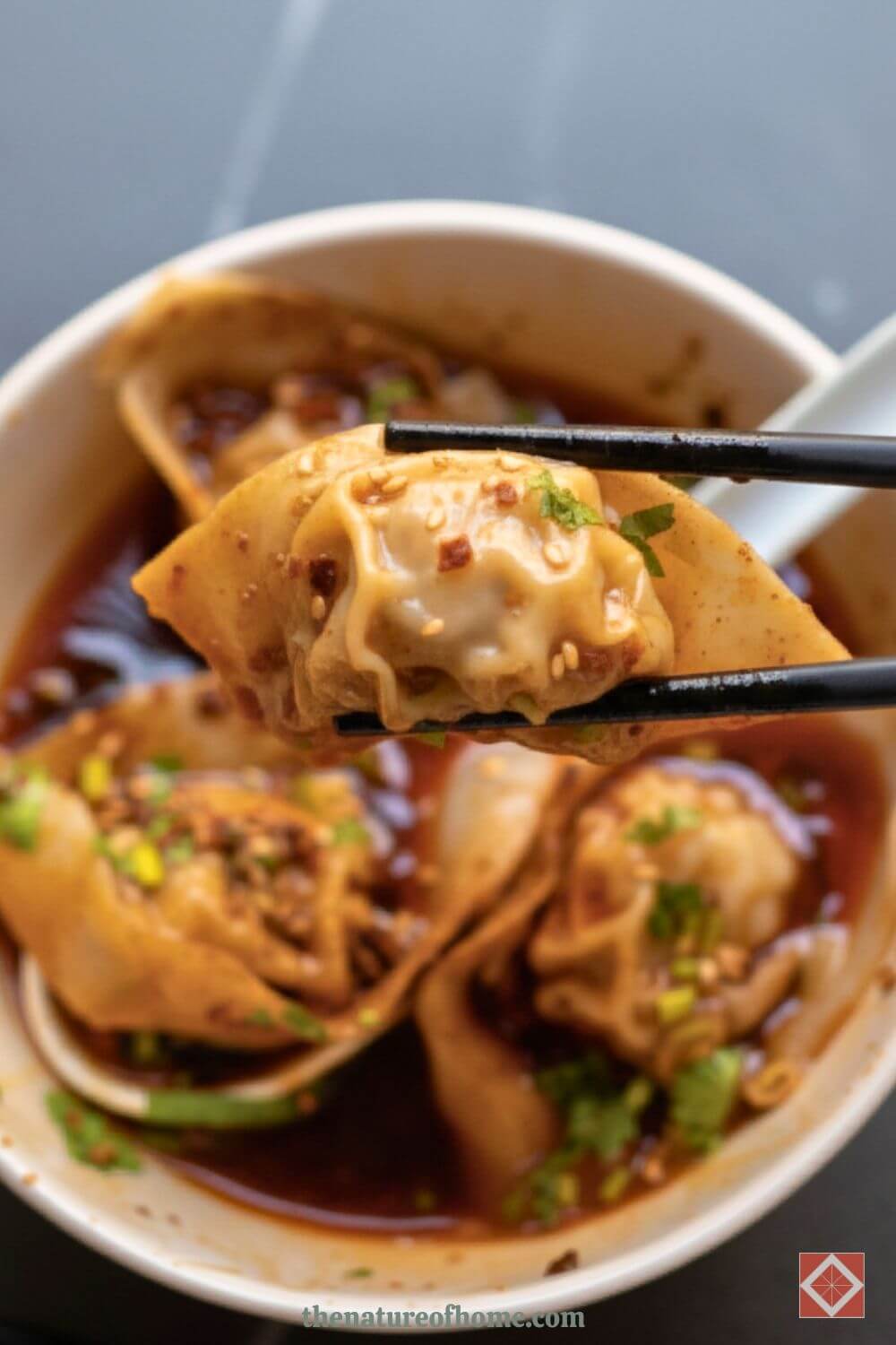 Spicy Sichuan Wontons with Garlic Sauce 2 Spicy Sichuan Wontons with Garlic Sauce - Spicy Sichuan Wontons with Garlic Sauce 2