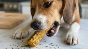 Parsley & Sweet Potato Treats for Happy Dogs 1 Parsley & Sweet Potato Treats for Happy Dogs - Homemade Sweet Potato Parsley Dog Treats