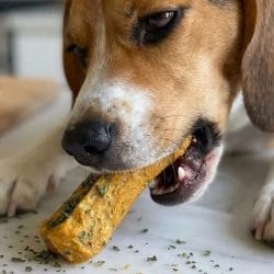 Parsley & Sweet Potato Treats for Happy Dogs 4 Parsley & Sweet Potato Treats for Happy Dogs - Homemade Sweet Potato Parsley Dog Treats scaled